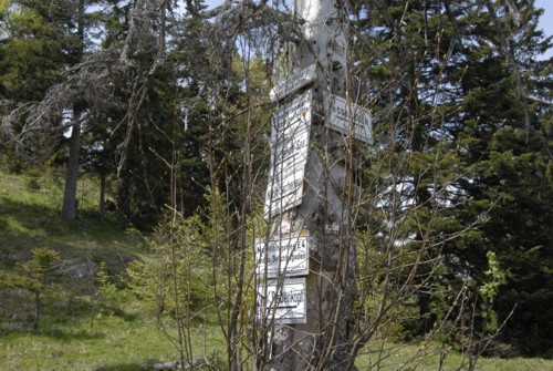 Benediktenwand | Staffelalm | Kochel