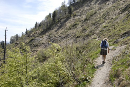 Benediktenwand | Staffelalm | Kochel
