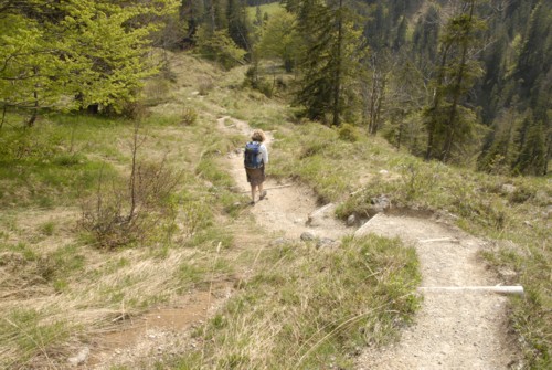 Benediktenwand | Staffelalm | Kochel