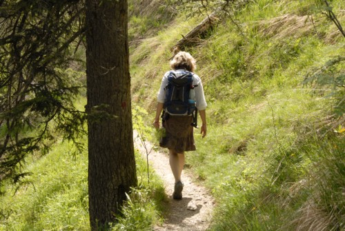 Benediktenwand | Staffelalm | Kochel