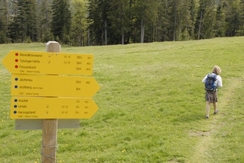 Benediktenwand | Staffelalm | Kochel