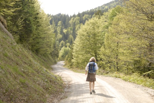 Benediktenwand | Staffelalm | Kochel