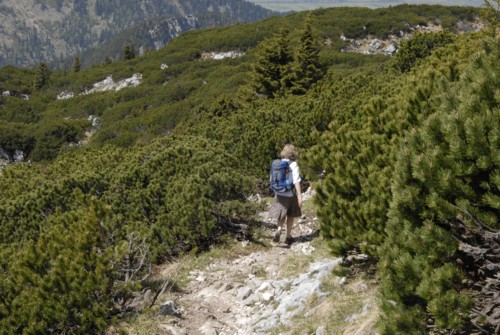 Tutzinger H&uuml;tte | Benediktenwand