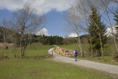 Von Wackersberg über den Zwiesel zum Blomberg