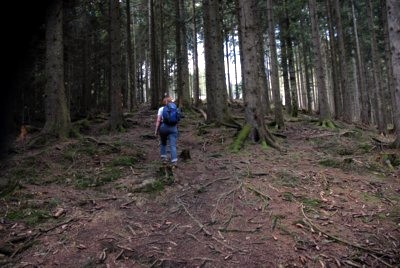 Von Wackersberg über den Zwiesel zum Blomberg