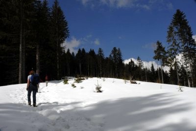 Von Wackersberg über den Zwiesel zum Blomberg