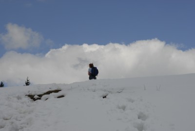 Von Wackersberg über den Zwiesel zum Blomberg