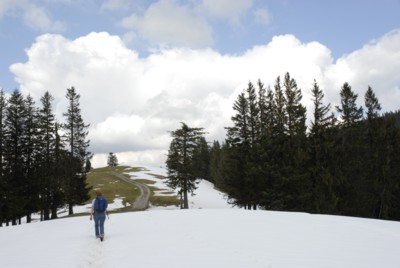 Von Wackersberg über den Zwiesel zum Blomberg