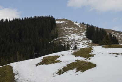 Zwiesel auf dem Weg von Wackersberg zum Blomberg