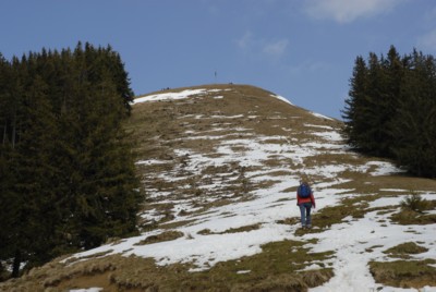 Zwiesel auf dem Weg von Wackersberg zum Blomberg