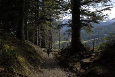 Abstieg vom Blomberg nach Wackersberg