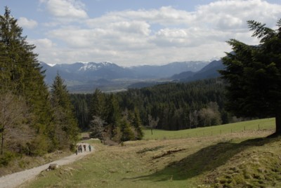 Abstieg vom Blomberg nach Wackersberg