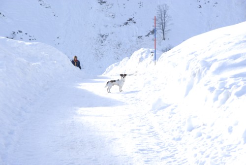 Von Neuhaus auf das Bodenschneidhaus