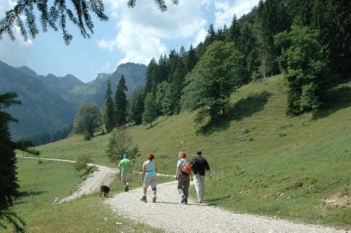 Weg zwischen der Kirchsteinhütte und der Probsthütte