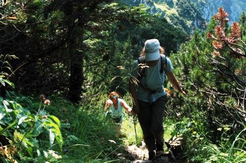 Auf dem Weg zum Brauneck &uuml;ber die Probsth&uuml;tte