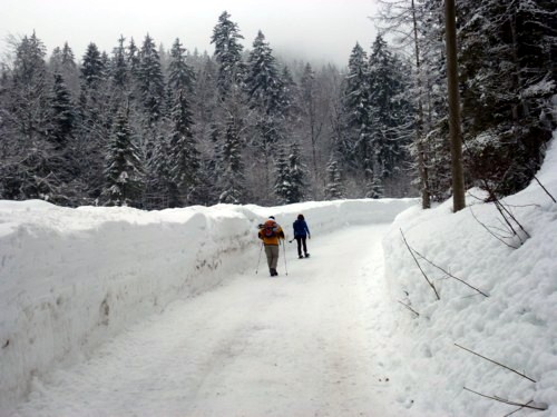 Schneeschuhtour | Buchsteinhütte | Wildbad Kreuth | Schwarzenbachtal