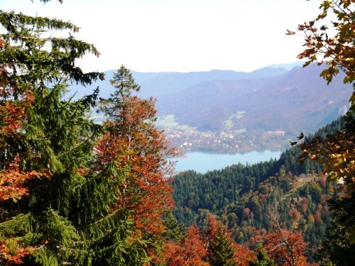 Ausblick auf den Kochelsee vom der Kaseralm aus