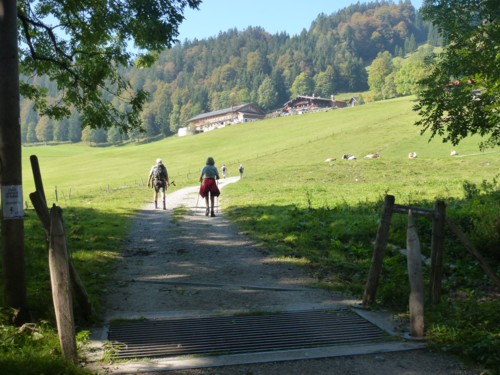 Flintsbach | Hohe Asten