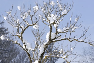 Flintsbach | Hohe Asten | Winter