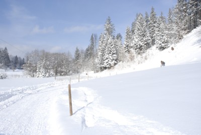 Flintsbach | Hohe Asten | Winter