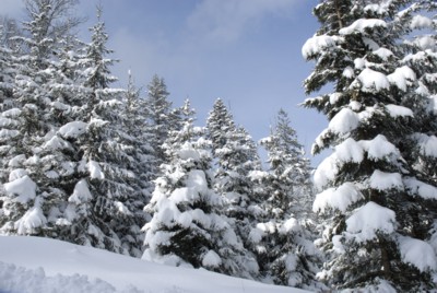 Flintsbach | Hohe Asten | Winter