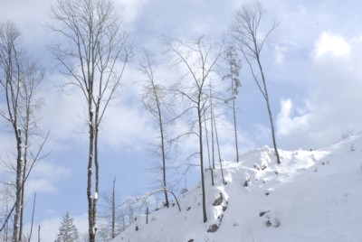 Flintsbach | Hohe Asten | Winter