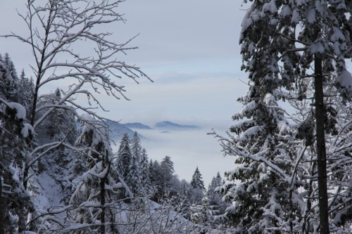 Lenggrieser H&uuml;tte | Hohenburg | Hirschtalsattel