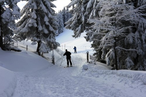 Lenggrieser H&uuml;tte | Hohenburg | Hirschtalsattel