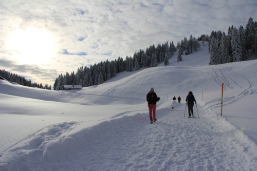 Lenggrieser H&uuml;tte | Hohenburg | Hirschtalsattel