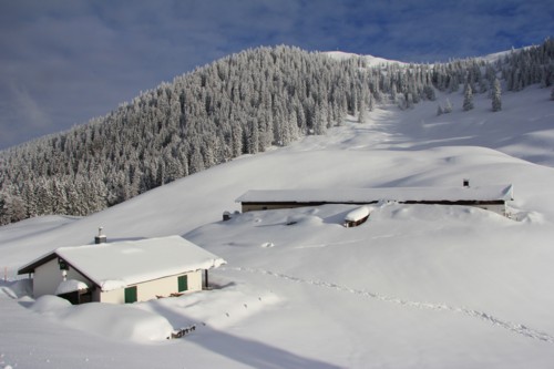Lenggrieser H&uuml;tte | Hohenburg | Hirschtalsattel