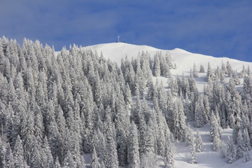 Lenggrieser H&uuml;tte | Hohenburg | Hirschtalsattel