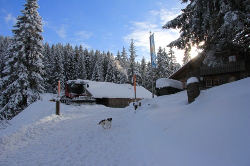Lenggrieser H&uuml;tte | Hohenburg | Hirschtalsattel