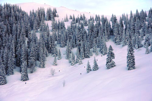 Lenggrieser H&uuml;tte | Hohenburg | Hirschtalsattel