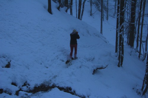 Lenggrieser H&uuml;tte | Hohenburg | Hirschtalsattel