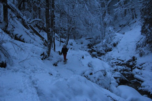 Lenggrieser H&uuml;tte | Hohenburg | Hirschtalsattel