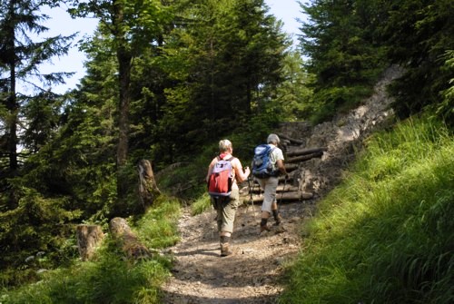 Jochberg | Jocheralm | Walchensee | Kochelsee