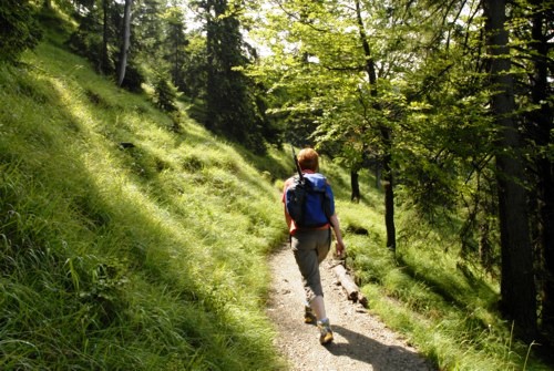 Jochberg | Jocheralm | Walchensee | Kochelsee