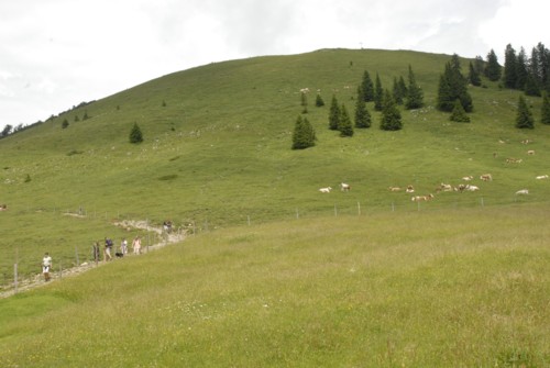 Jochberg | Jocheralm | Walchensee | Kochelsee