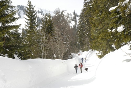 Spitzing | Spitzingsattel | Obere Firstalm