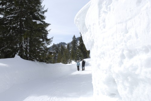 Spitzing | Spitzingsattel | Obere Firstalm