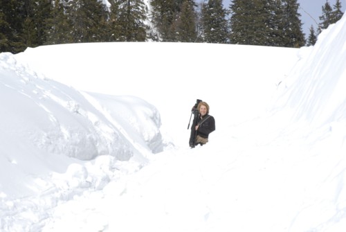 Spitzing | Spitzingsattel | Obere Firstalm