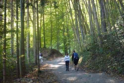 Flintsbach | Petersberg