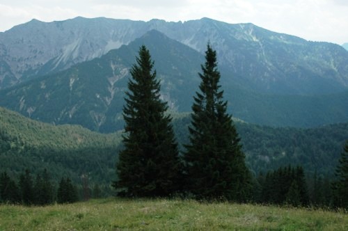 Blick auf die Berge vom Weg von Spitzingsee zum Rotwandhaus