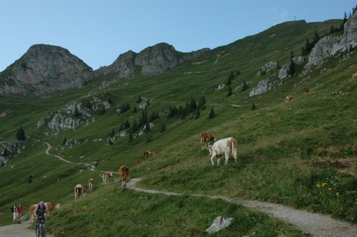 Blick auf die Berge n&ouml;rdlich vom Rotwandhaus mit dem Gipfel der Rotwand
