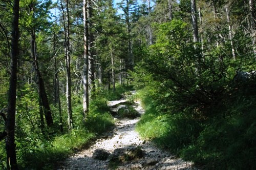 Weg vom Rotwandhaus &uuml;ber die sch&ouml;nen Gumpen nach Spitzingsee