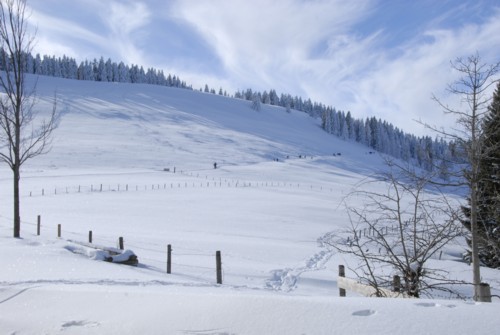 Winterwanderung von Schliersee (780m) &uuml;ber Gindelalm (1242m) nach Tegernsee (735 m)