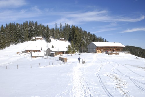 Winterwanderung von Schliersee (780m) &uuml;ber Gindelalm (1242m) nach Tegernsee (735 m)