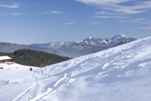 Winterwanderung von Schliersee (780m) &uuml;ber Gindelalm (1242m) nach Tegernsee (735 m)