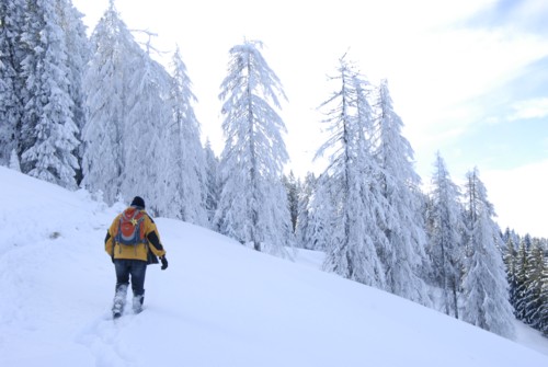 Winterwanderung von Schliersee (780m) &uuml;ber Gindelalm (1242m) nach Tegernsee (735 m)