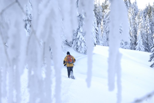 Winterwanderung von Schliersee (780m) &uuml;ber Gindelalm (1242m) nach Tegernsee (735 m)
